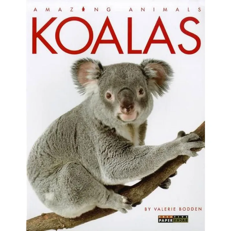 KOALAS - AMAZING ANIMALS