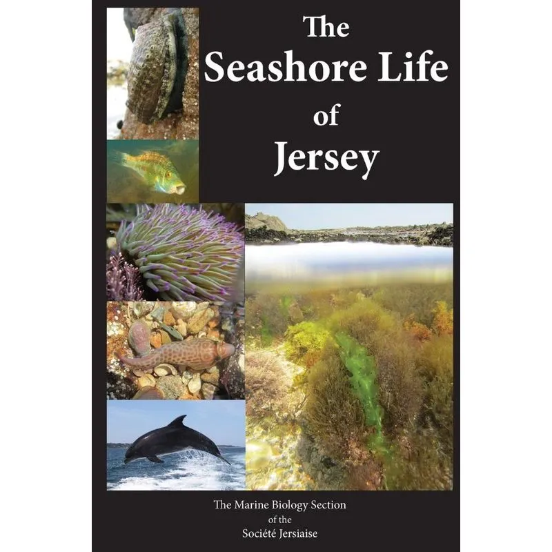 The Seashore Life of Jersey