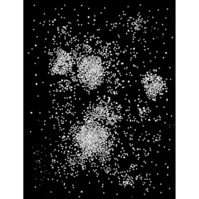 RIVANE NEUENSCHWANDER - UM DIA COMO OUTRO QUALQUER