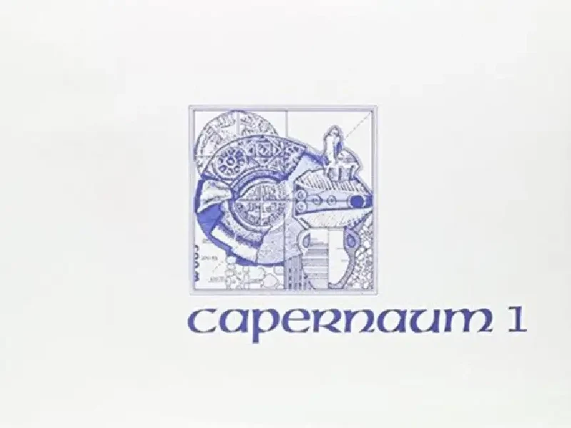 Excavations at Capernaum: Volume 1: 1978-1982 Hardcover
