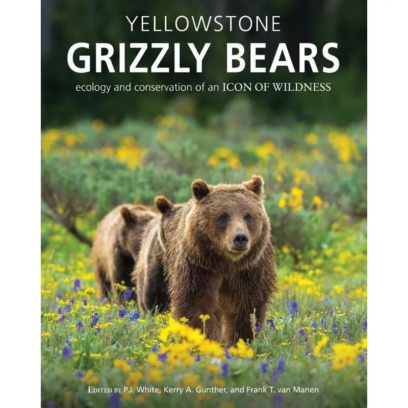 Yellowstone Grizzly Bears