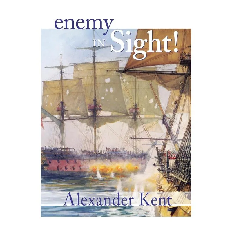 Enemy in Sight!