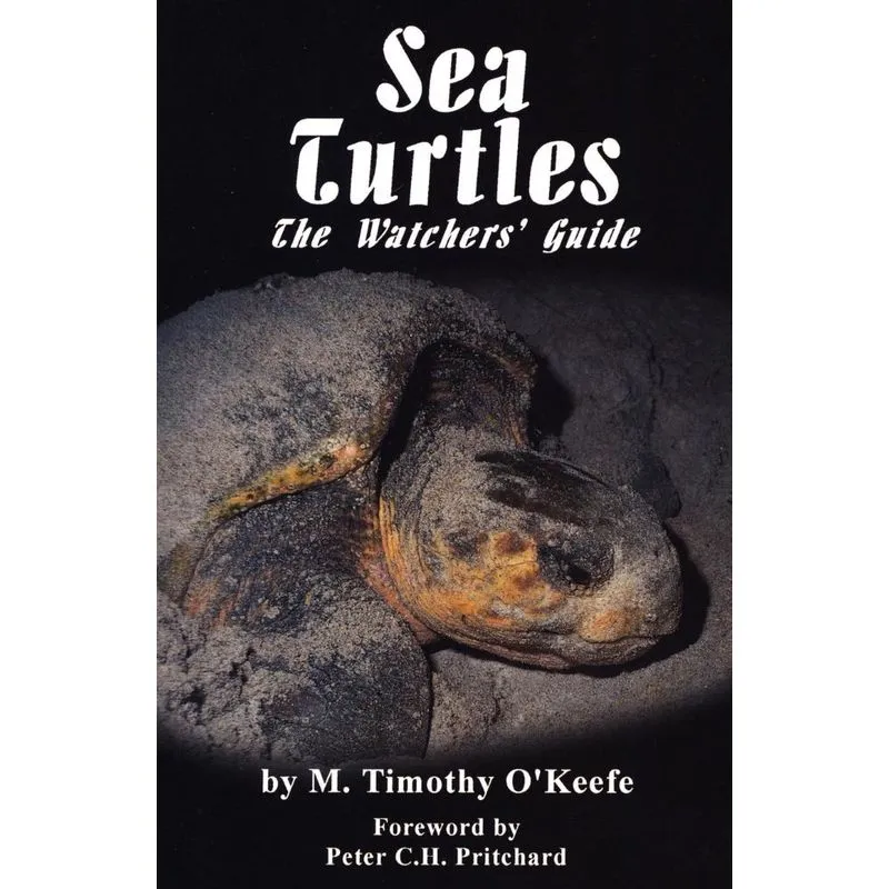 Sea Turtles