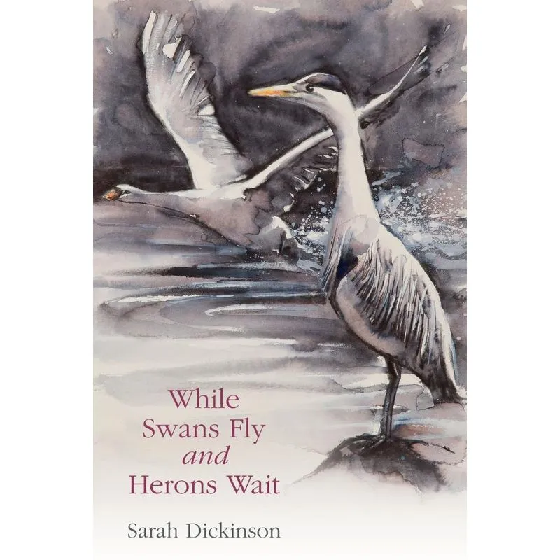 While Swans Fly and Herons Wait