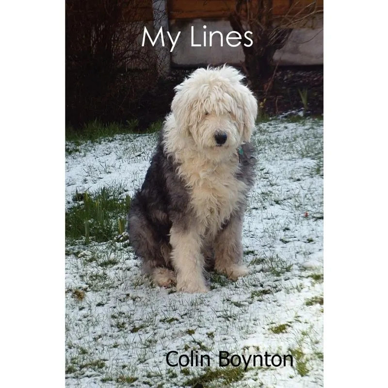 My Lines