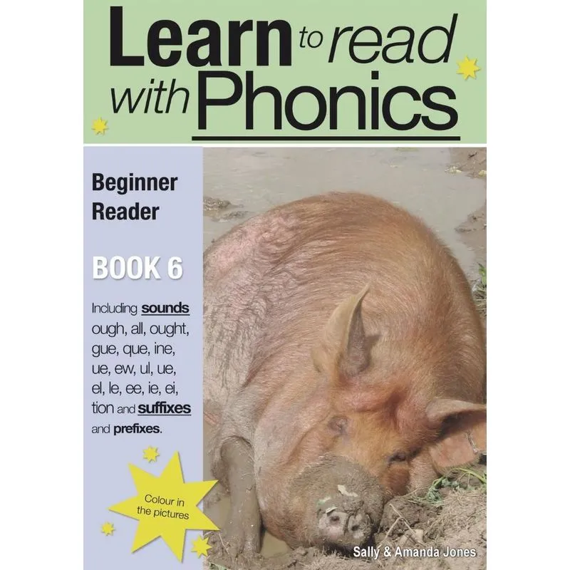 Learn to Read Rapidly with Phonics
