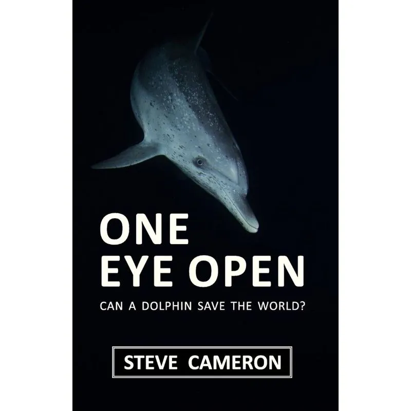 One Eye Open