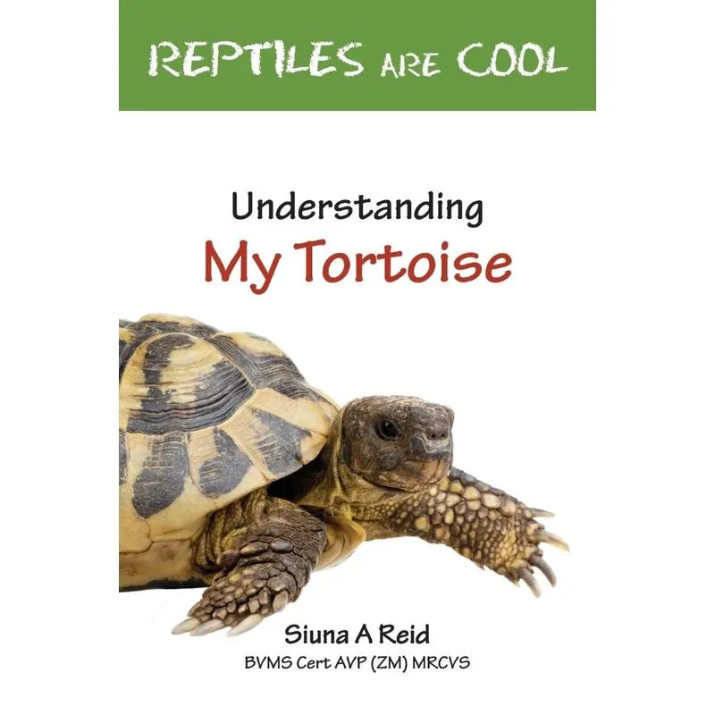 Reptiles Are Cool- Understanding My Tortoise