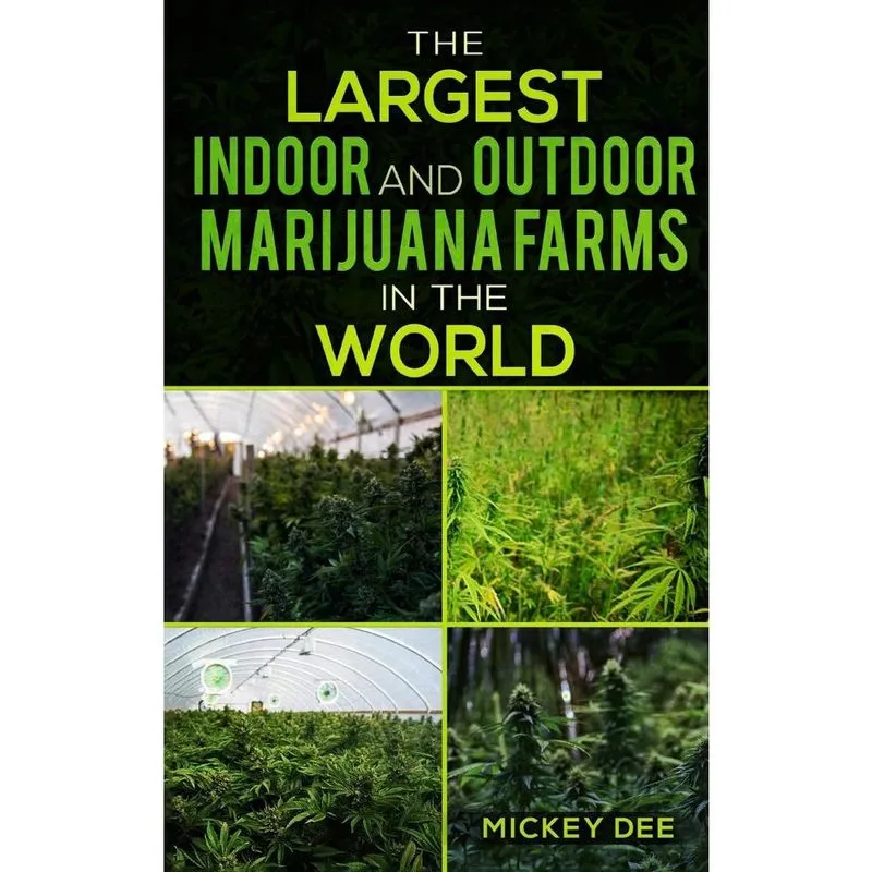 The Largest Indoor and Outdoor Marijuana Farms in the World