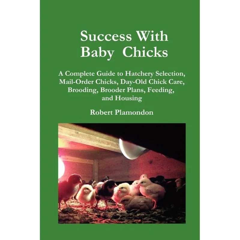 Success with Baby Chicks