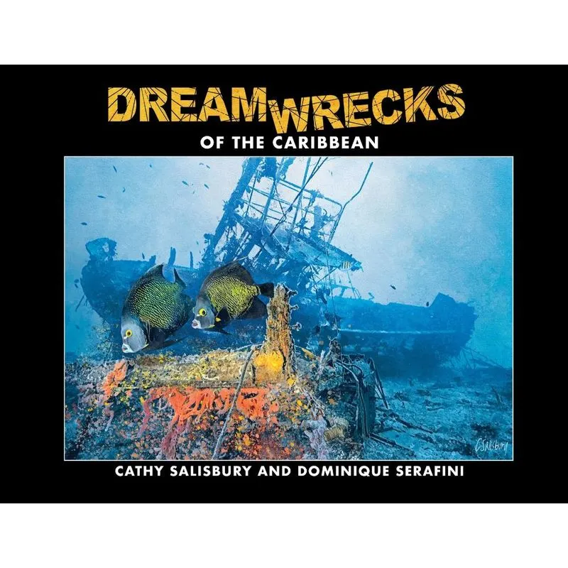 DreamWrecks of the Caribbean