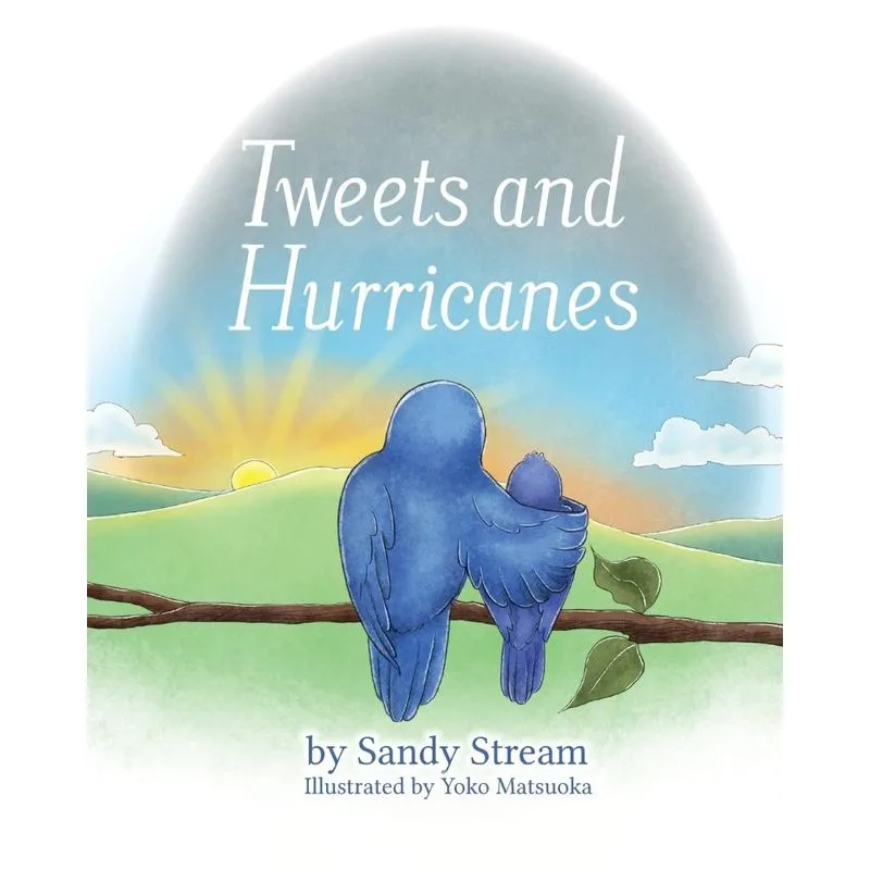 Tweets and Hurricanes