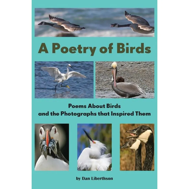 A Poetry of Birds