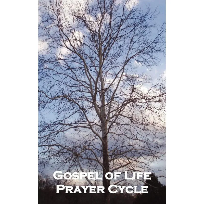 Gospel Of Life Prayer Cycle