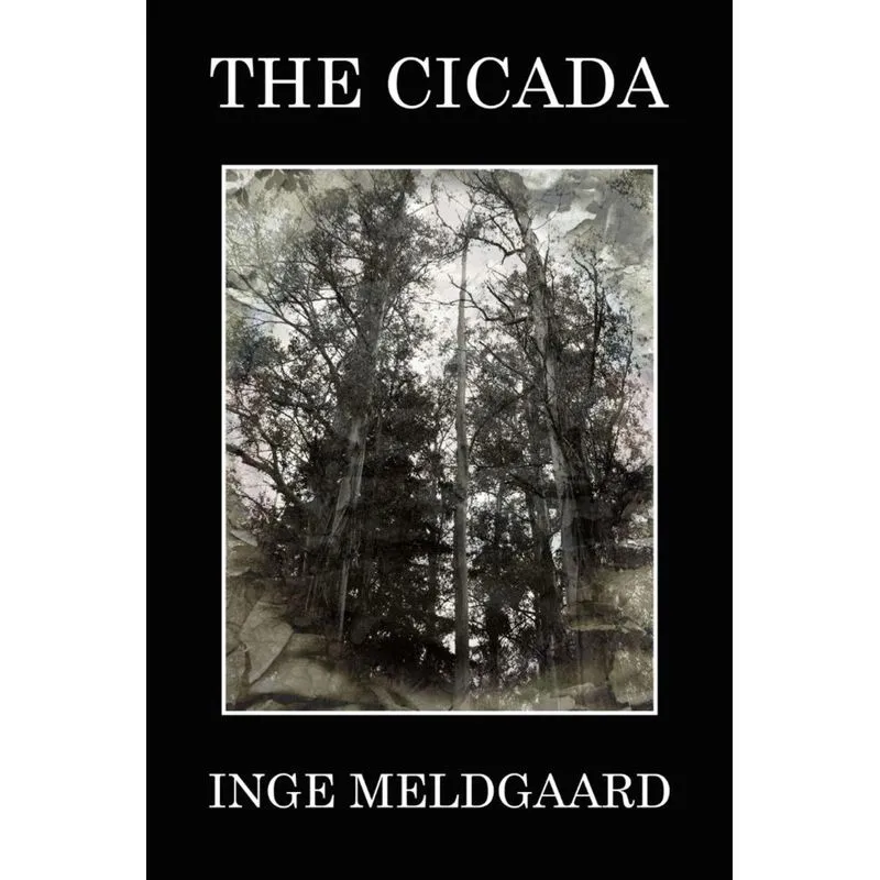 The Cicada