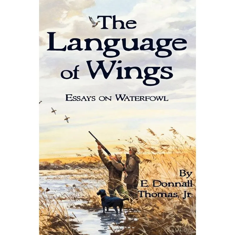The Language of Wings