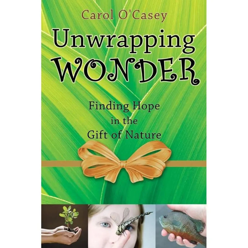 Unwrapping Wonder