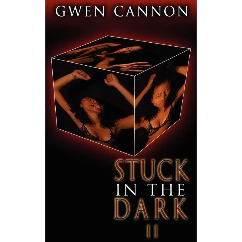 Stuck in the Dark II