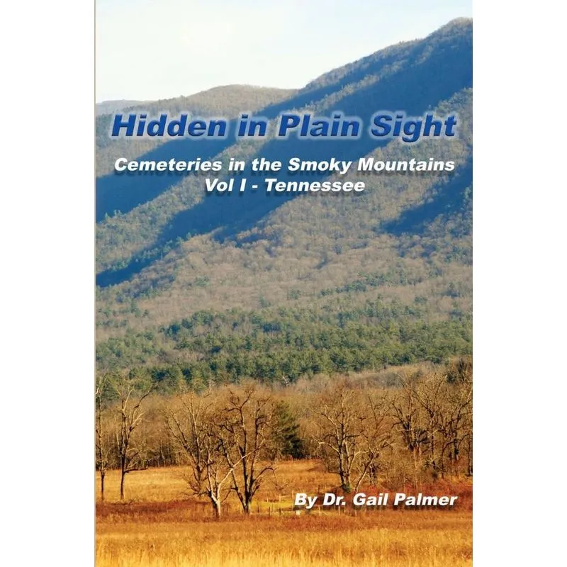 Hidden In Plain Sight