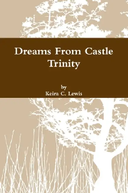 Dreams From Castle Trinity Paperback