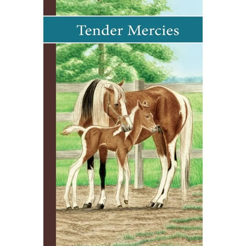 Sonrise Stable