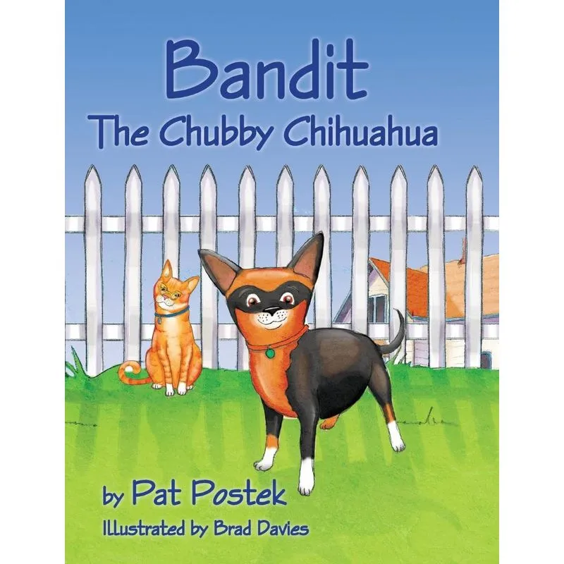 Bandit, The Chubby Chihuahua