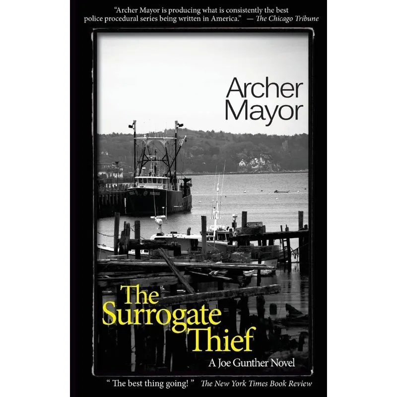 The Surrogate Thief