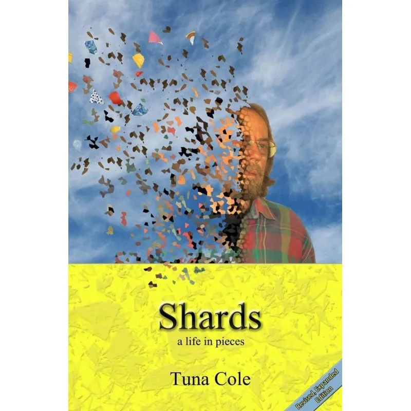 Shards a life in pieces