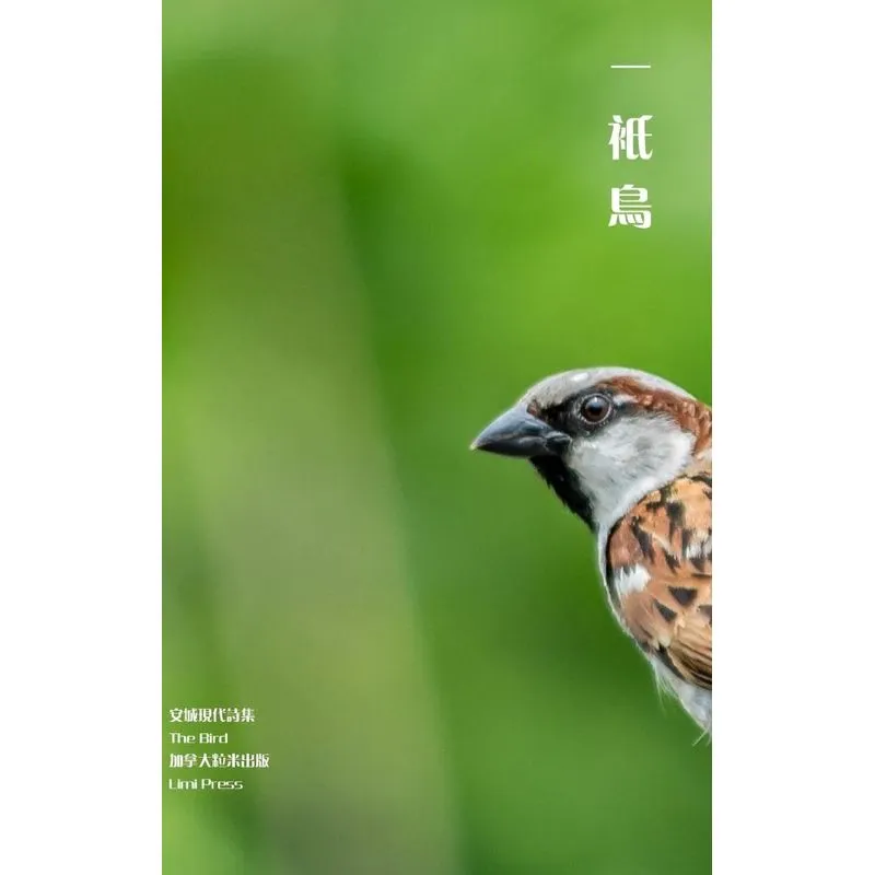The Bird