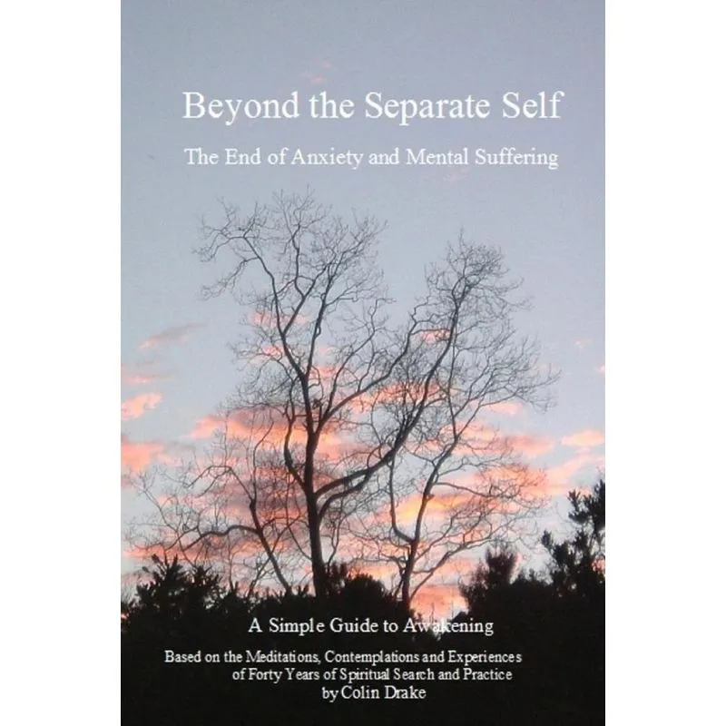 Beyond the Separate Self