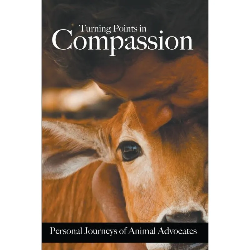 Turning Points In Compassion