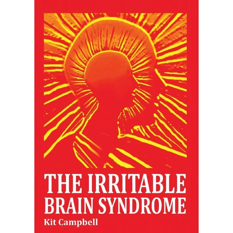 The Irritable Brain Syndrome