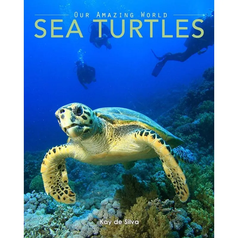 Sea Turtles