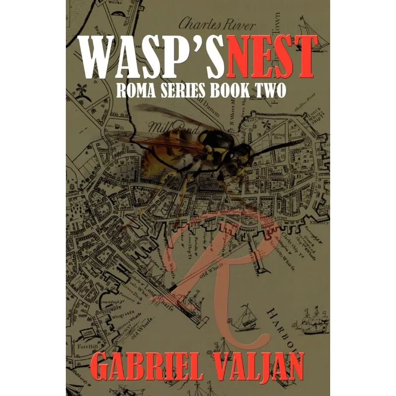 Wasps Nest