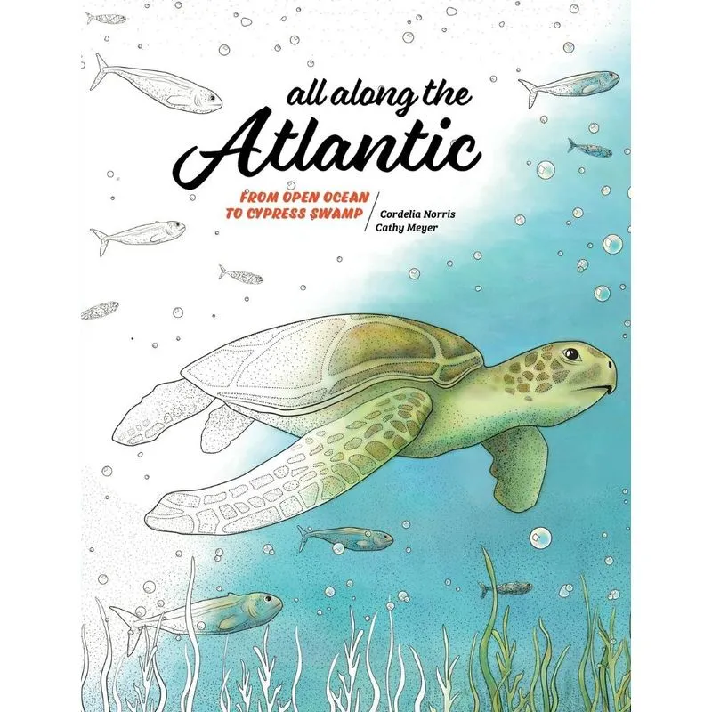 All Along the Atlantic