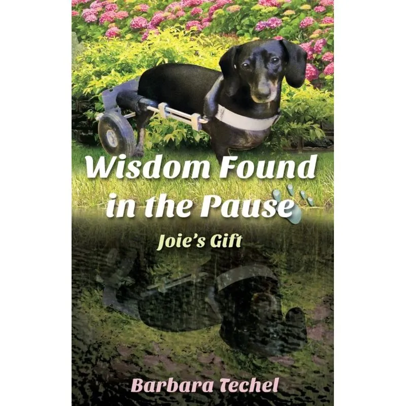 Wisdom Found in the Pause