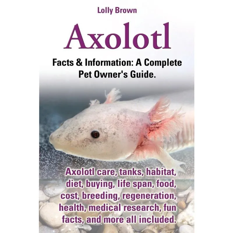 Axolotl. Axolotl Care, Tanks, Habitat, Diet, Buying, Life S