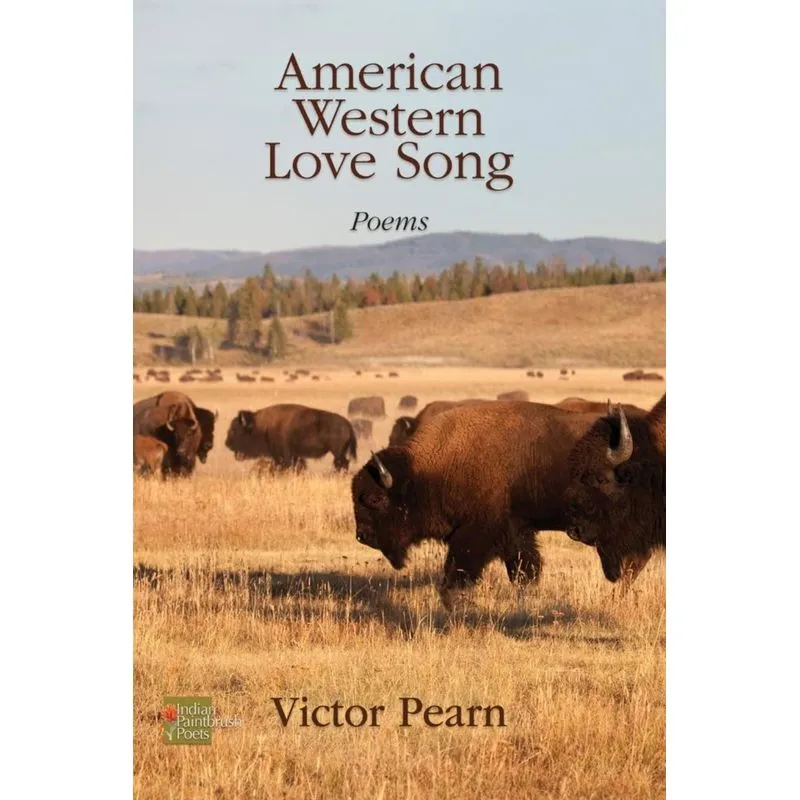 American Western Love Song