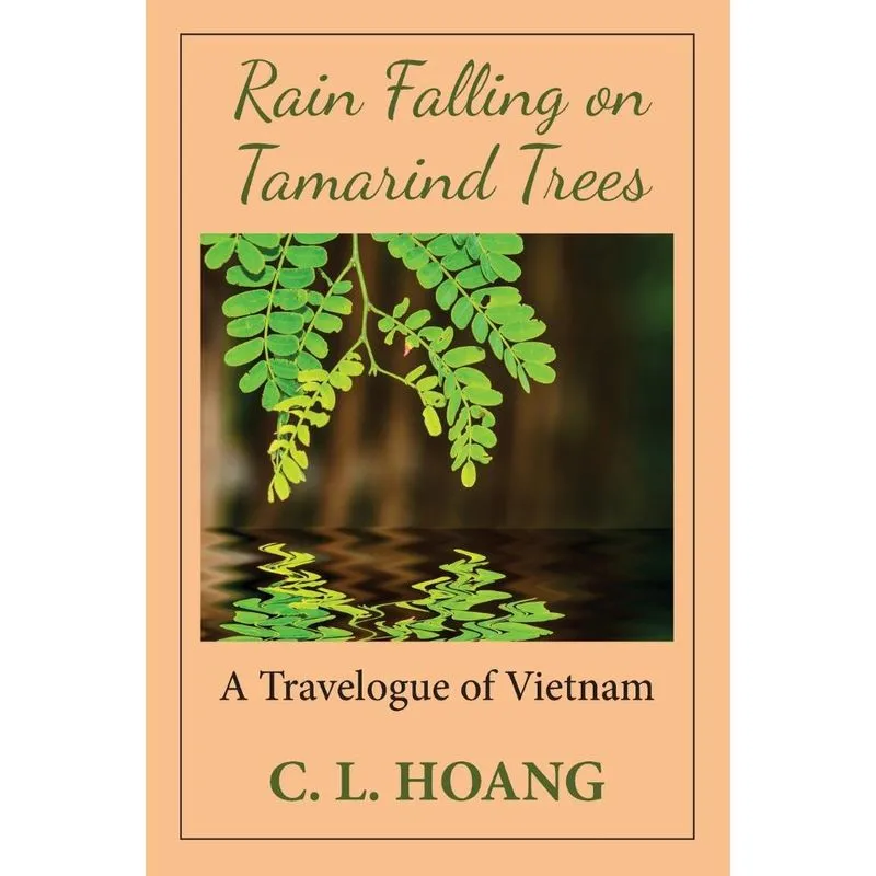 Rain Falling on Tamarind Trees