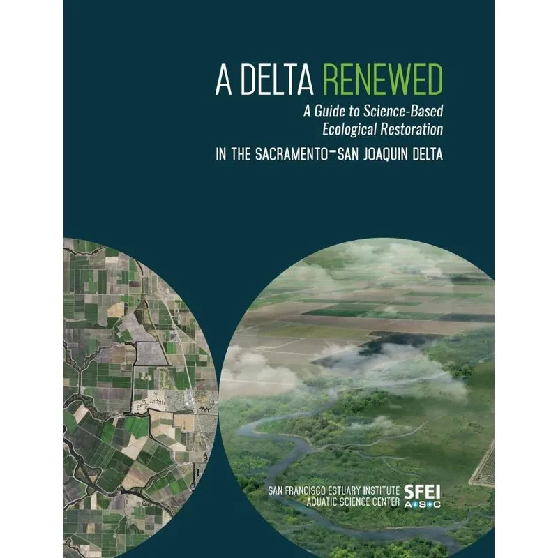 A Delta Renewed