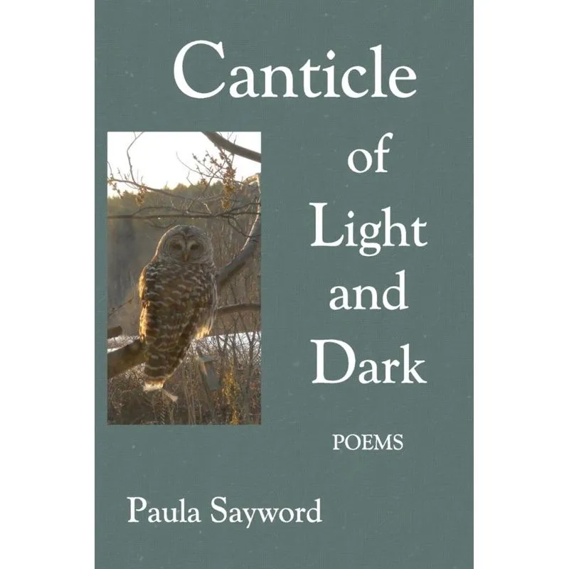 Canticle of Light and Dark