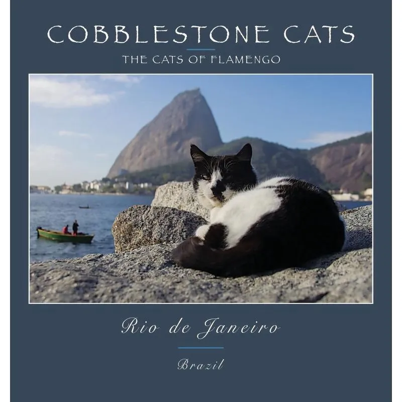 Cobblestone Cats - Rio de Janeiro