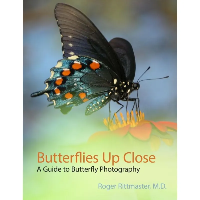Butterflies Up Close