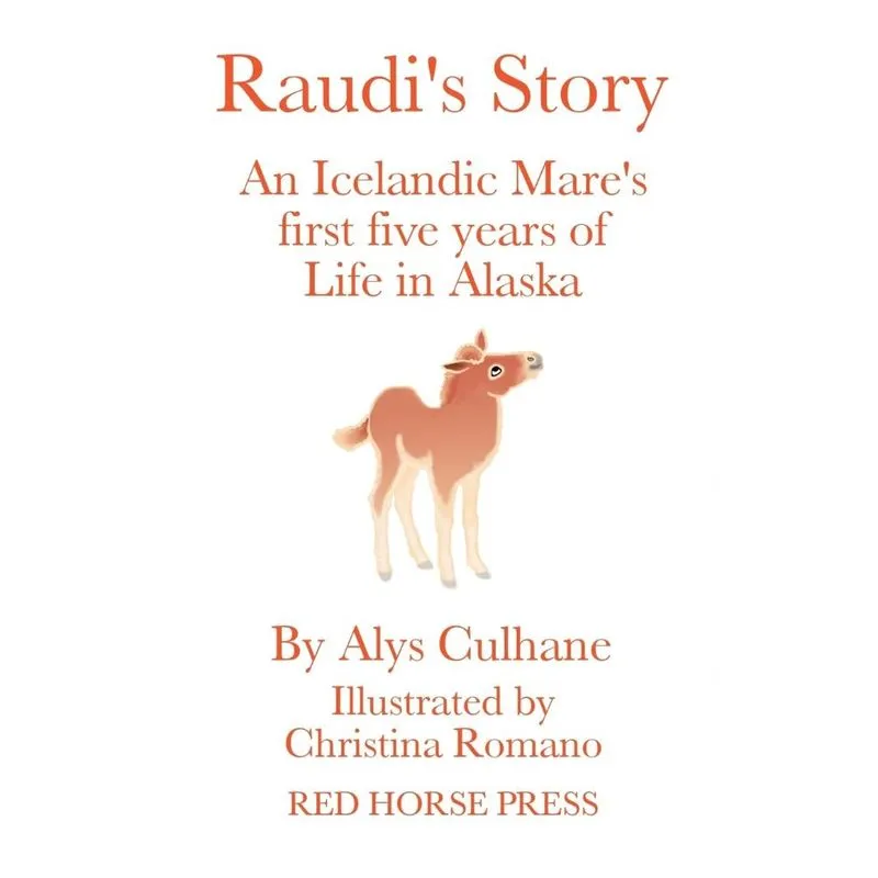 Raudis Story