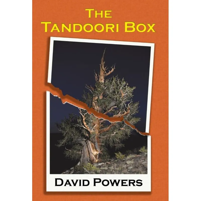 The Tandoori Box