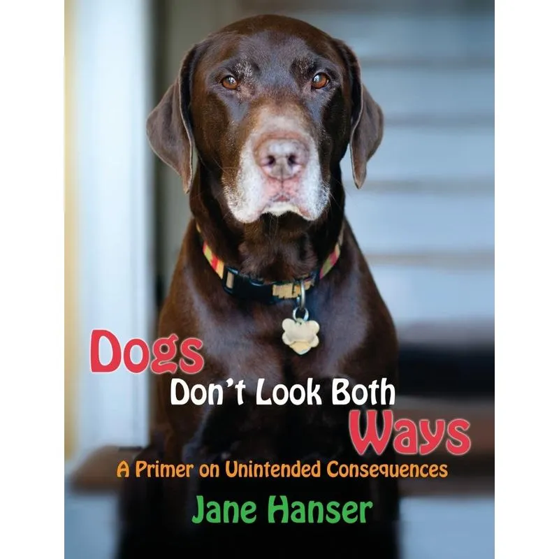 Dogs Dont Look Both Ways
