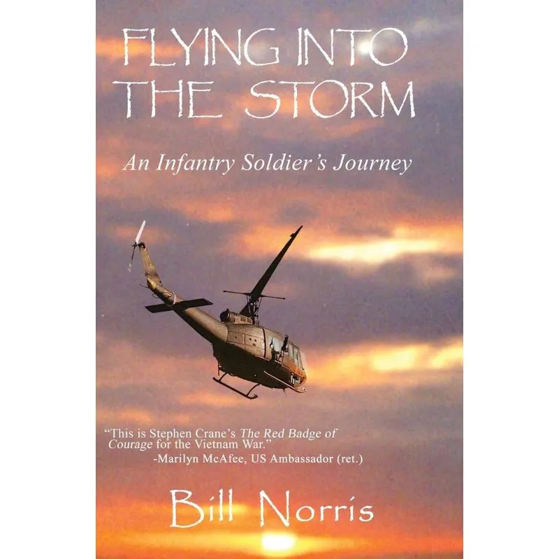 Flying Into The Storm