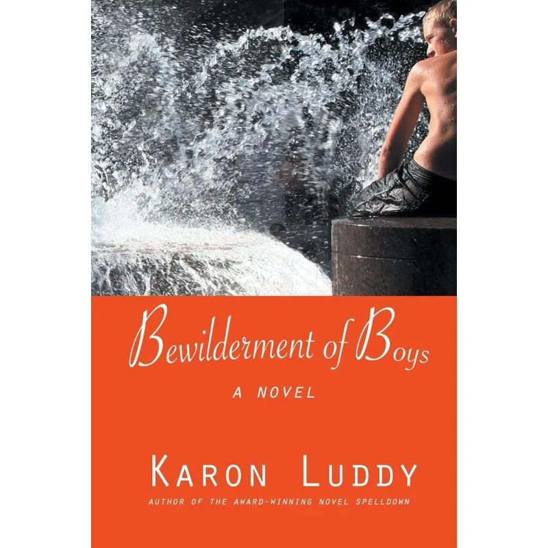 Bewilderment of Boys
