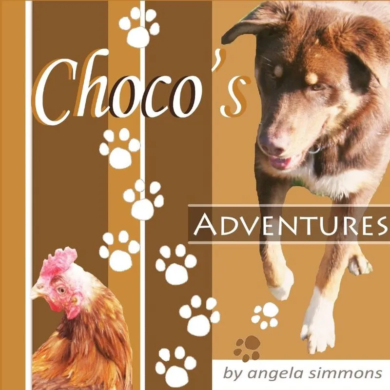 Chocos Adventures