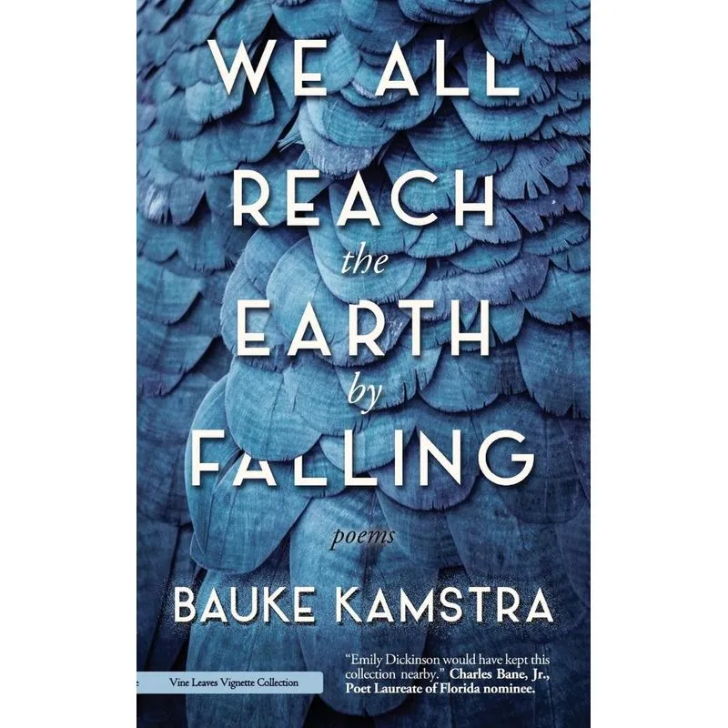 We All Reach the Earth by Falling